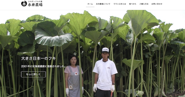 ラワンぶきとは | 永井農場